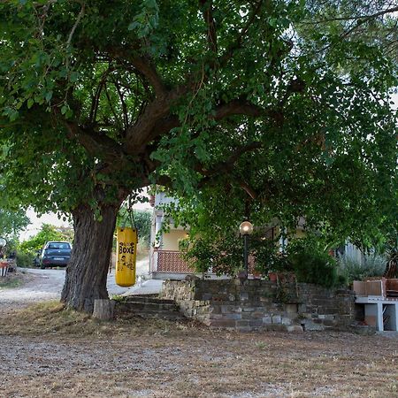 Casa Vacanze Diamante Ogliastro Cilento Εξωτερικό φωτογραφία