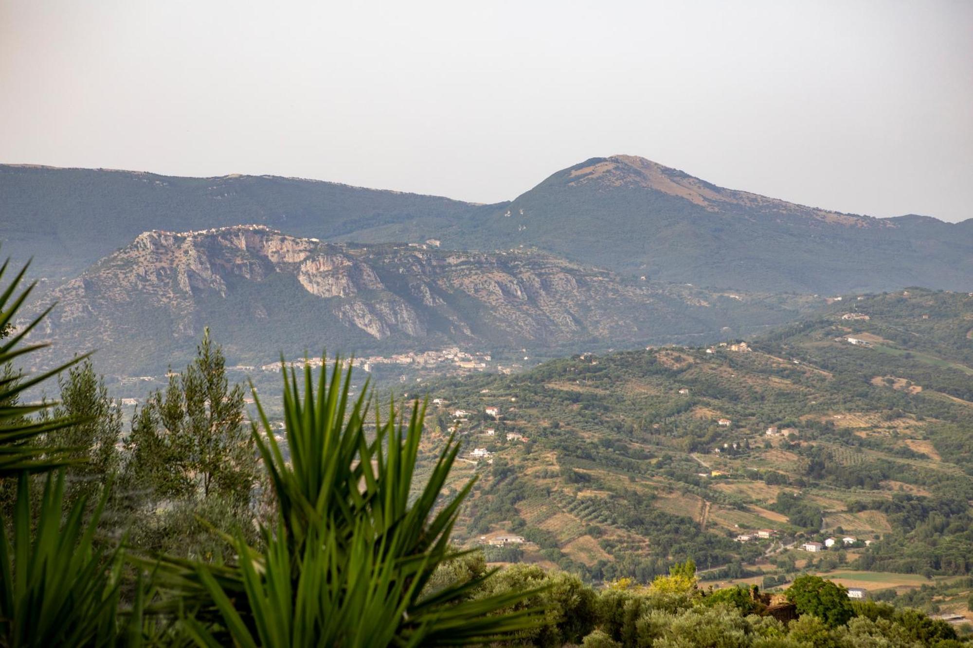 Casa Vacanze Diamante Ogliastro Cilento Εξωτερικό φωτογραφία