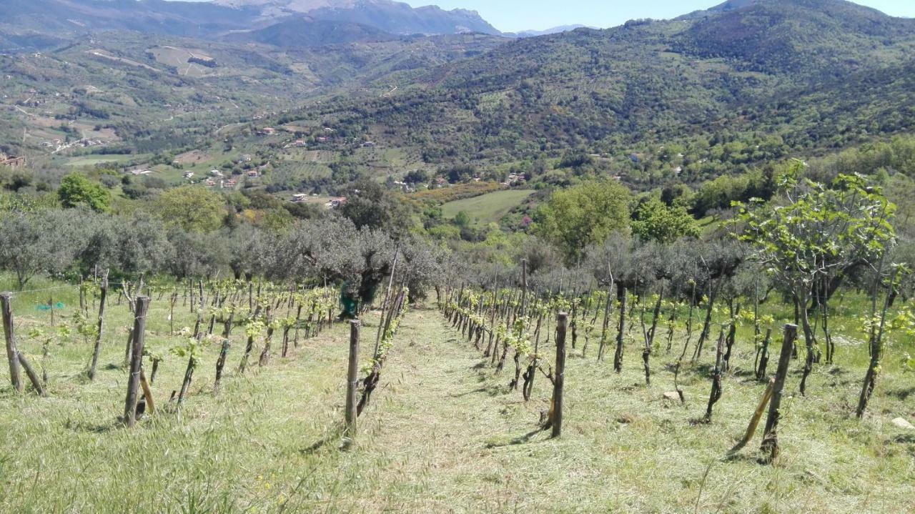 Casa Vacanze Diamante Ogliastro Cilento Εξωτερικό φωτογραφία