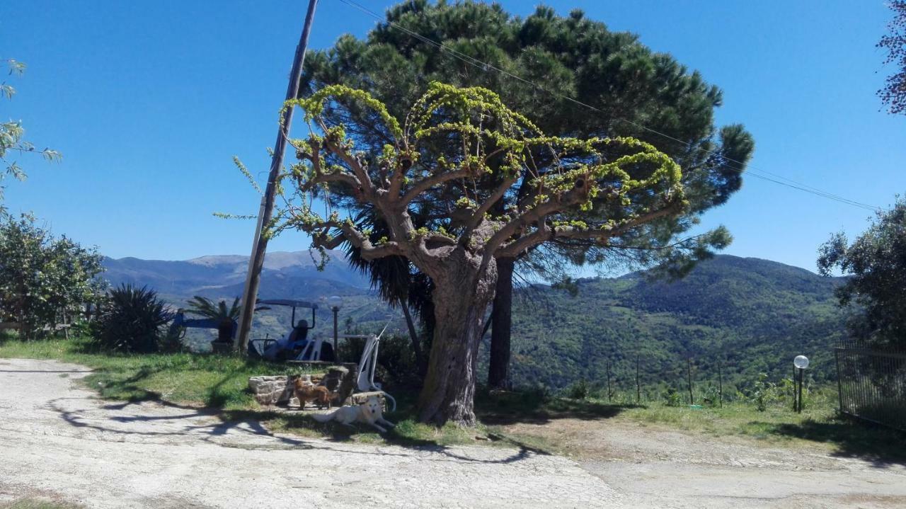 Casa Vacanze Diamante Ogliastro Cilento Εξωτερικό φωτογραφία